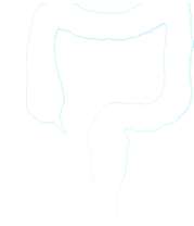 Colon Icon