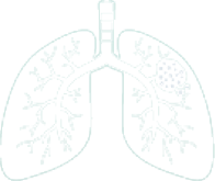 Lungs Icon
